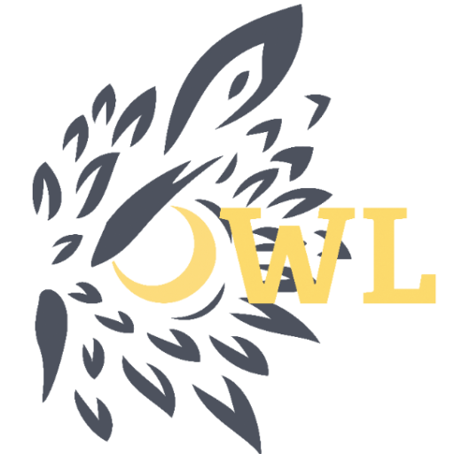 https://owlpowersolutions.com/wp-content/uploads/2021/04/cropped-owl-PS-with-bird-with-R-1.png